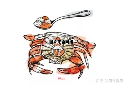 螃蟹的进食方式有多少种